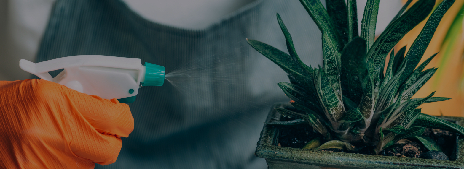 Actívate en tus tiempos libres