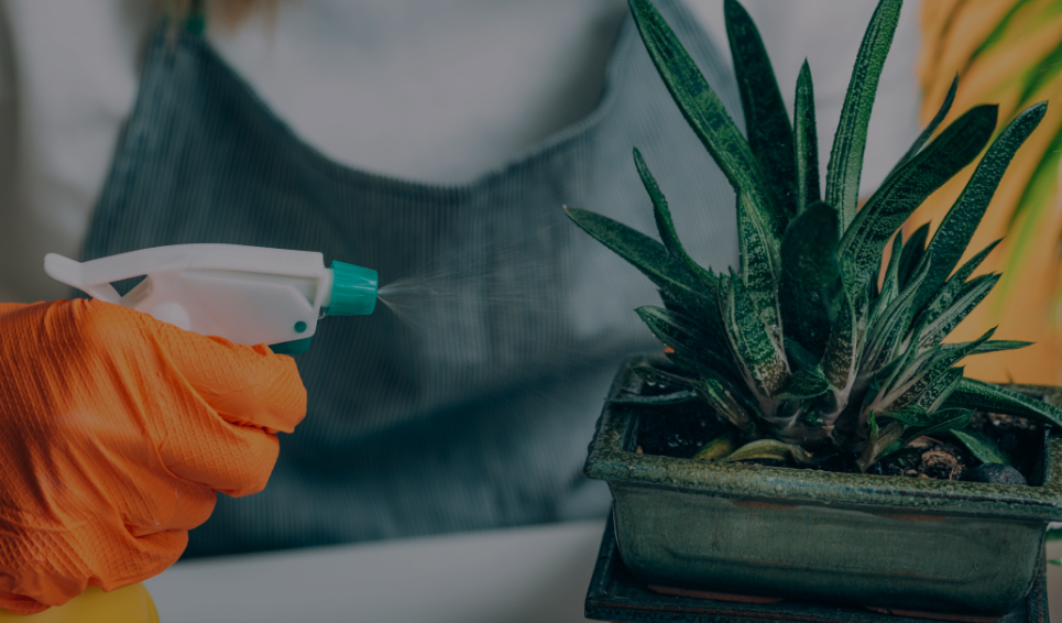 ActÍvate en tus tiempos libres